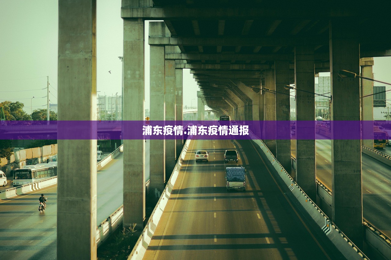 浦东疫情.浦东疫情通报