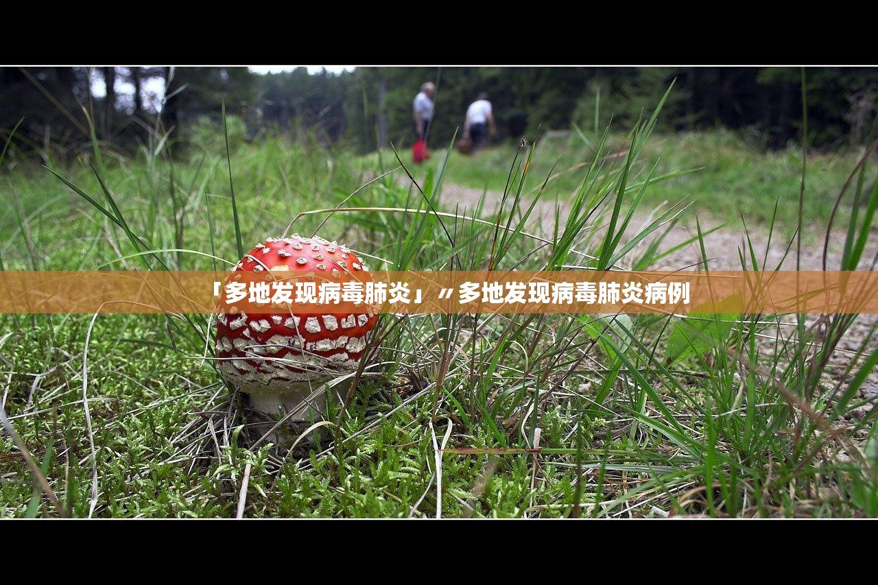 「多地发现病毒肺炎」〃多地发现病毒肺炎病例