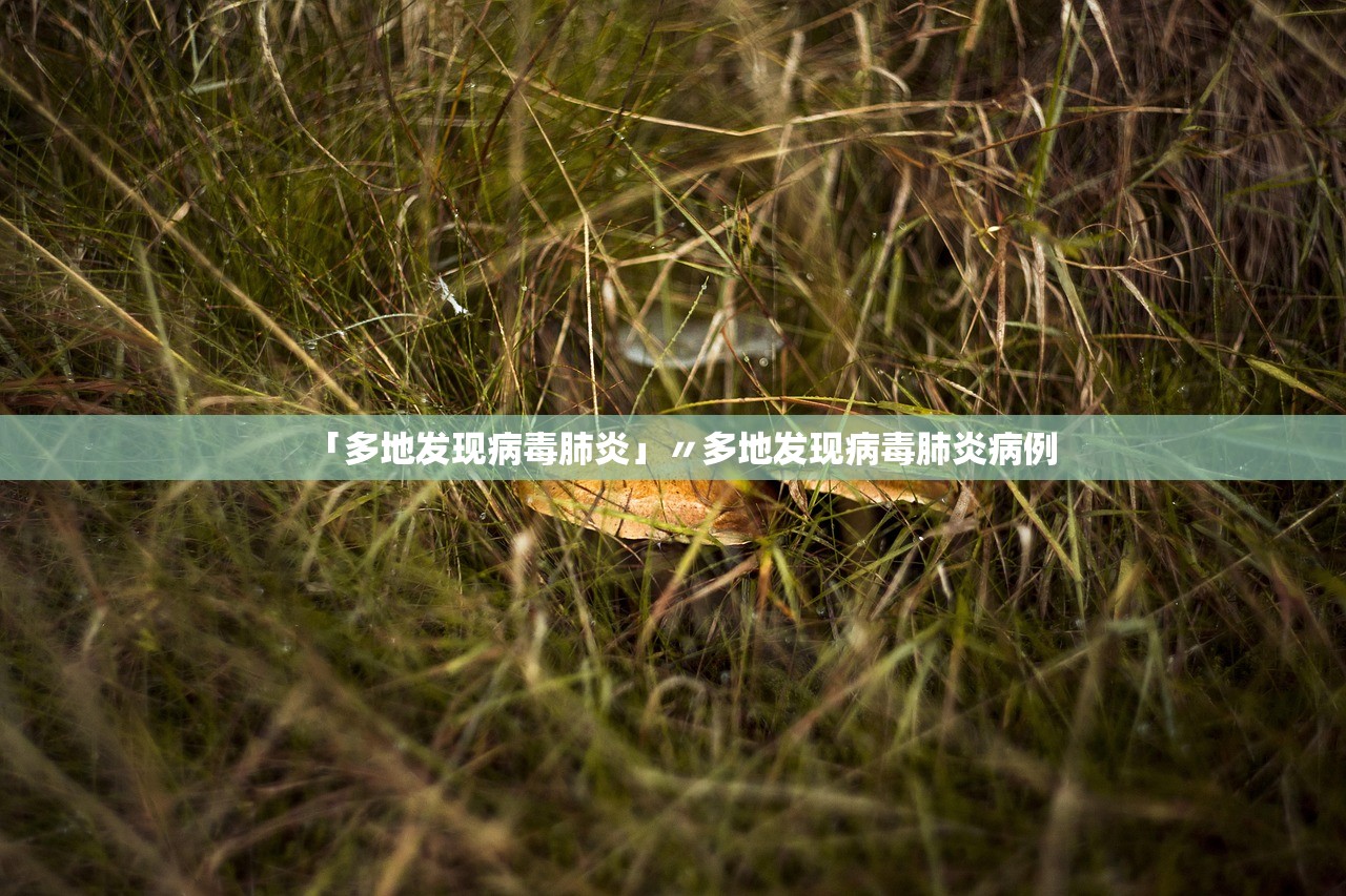 「多地发现病毒肺炎」〃多地发现病毒肺炎病例