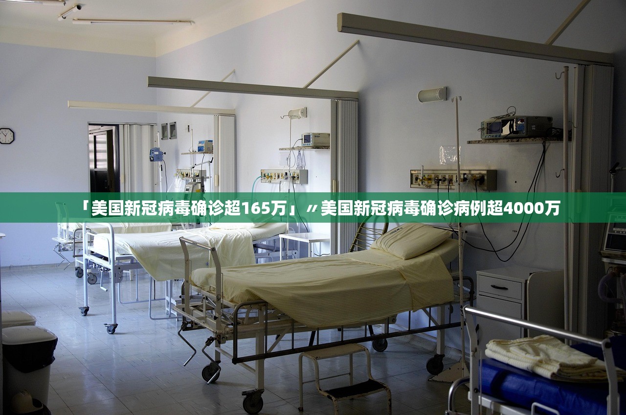 「美国新冠病毒确诊超165万」〃美国新冠病毒确诊病例超4000万