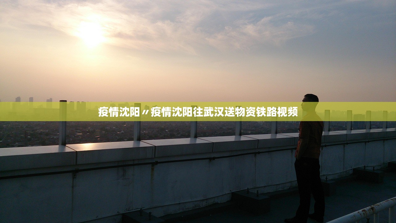 疫情沈阳〃疫情沈阳往武汉送物资铁路视频