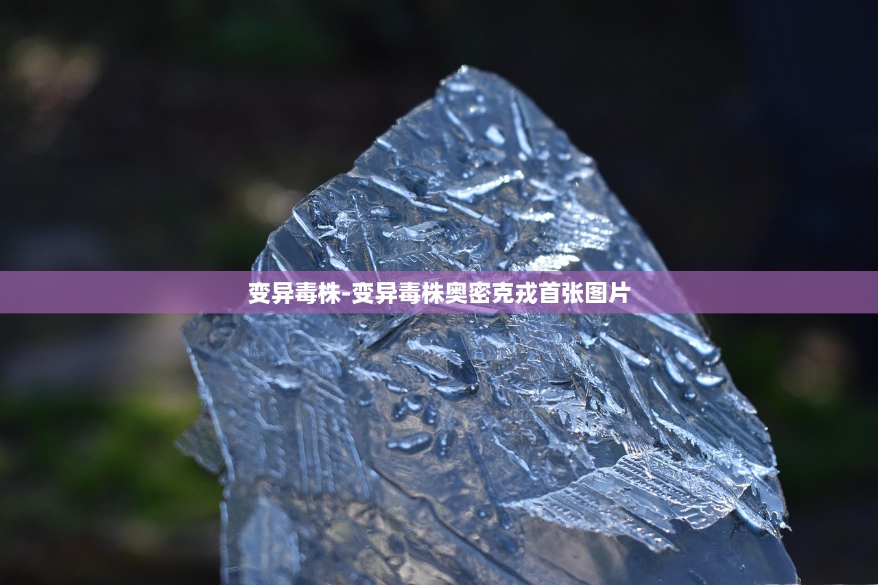 变异毒株-变异毒株奥密克戎首张图片 变异毒株-变异毒株奥密克戎首张图片