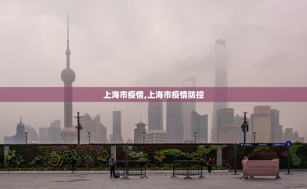 上海市疫情,上海市疫情防控
