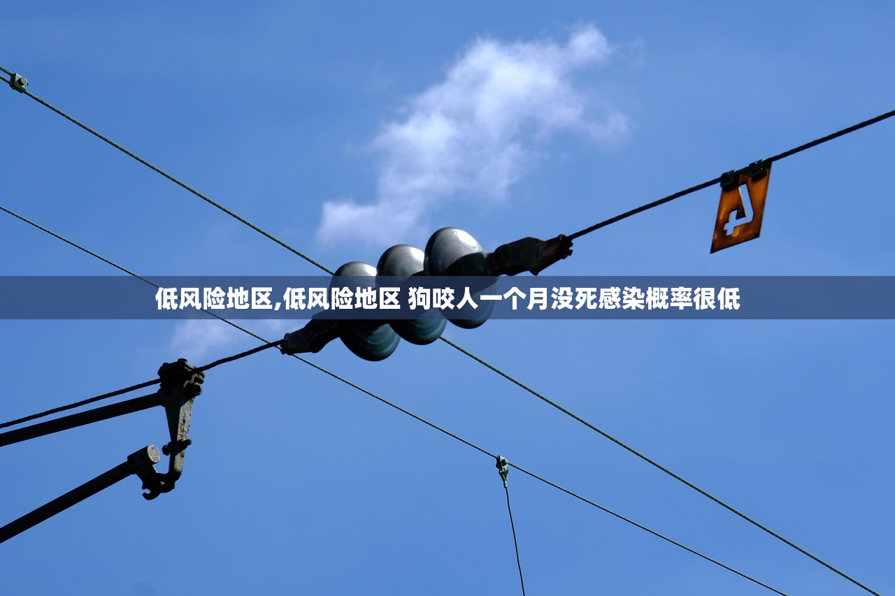 低风险地区,低风险地区 狗咬人一个月没死感染概率很低