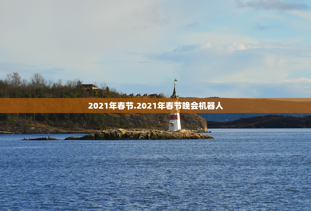 2021年春节.2021年春节晚会机器人