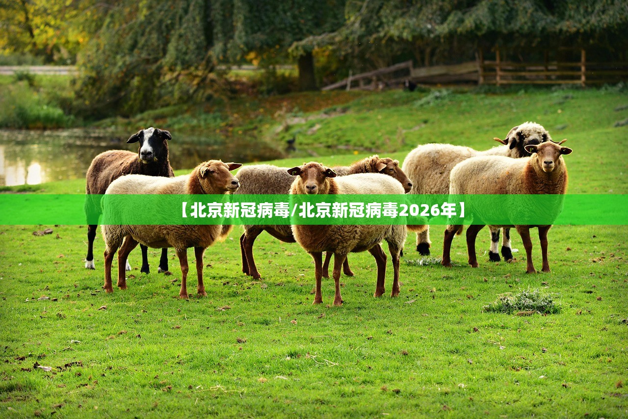 【北京新冠病毒/北京新冠病毒2026年】 【北京新冠病毒/北京新冠病毒2026年】