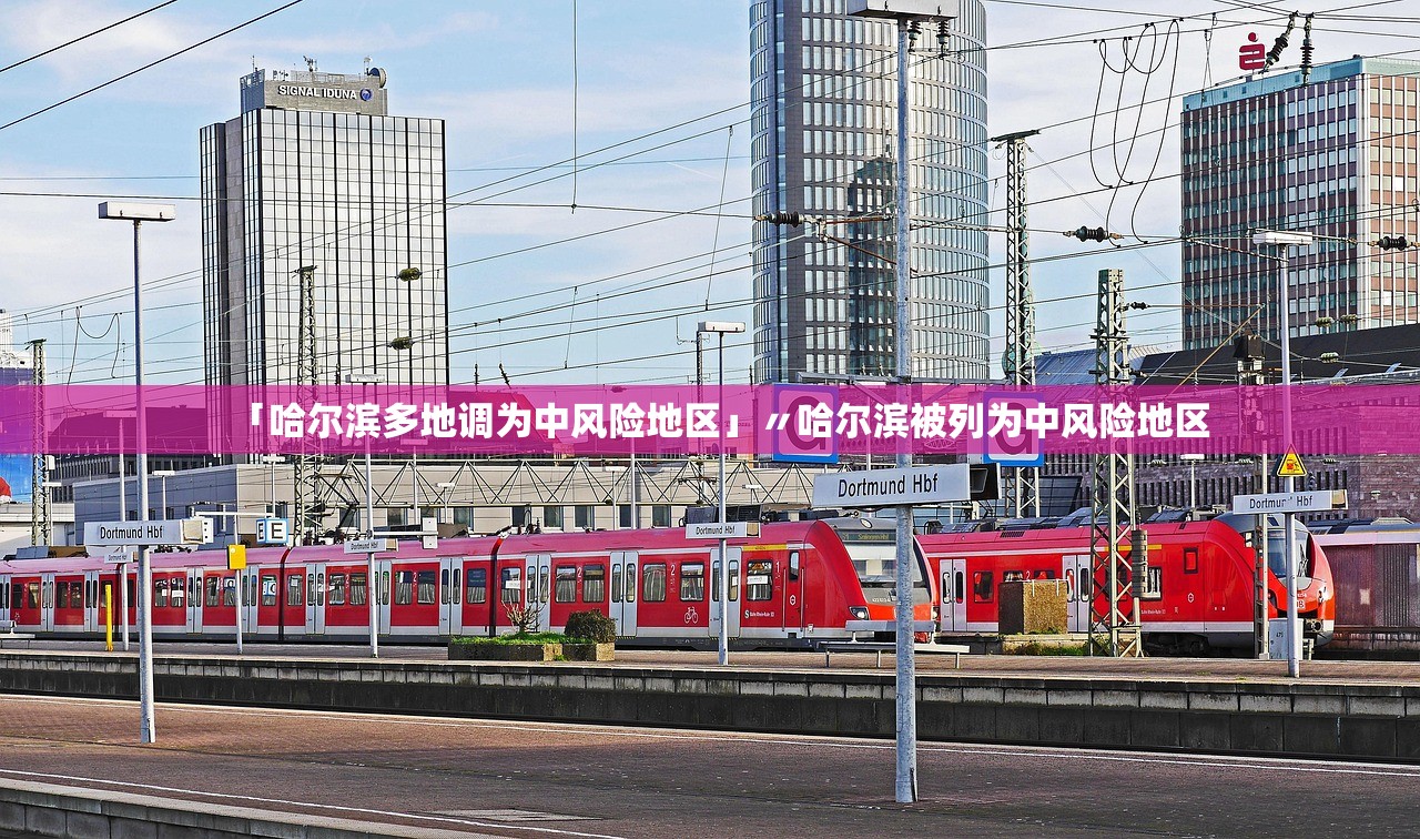 「哈尔滨多地调为中风险地区」〃哈尔滨被列为中风险地区