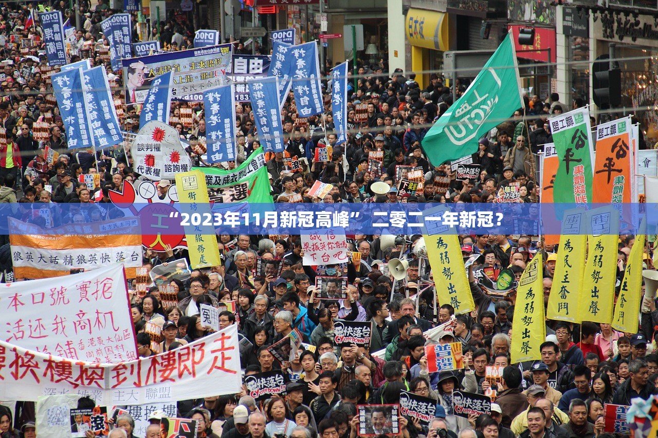 “2023年11月新冠高峰” 二零二一年新冠？