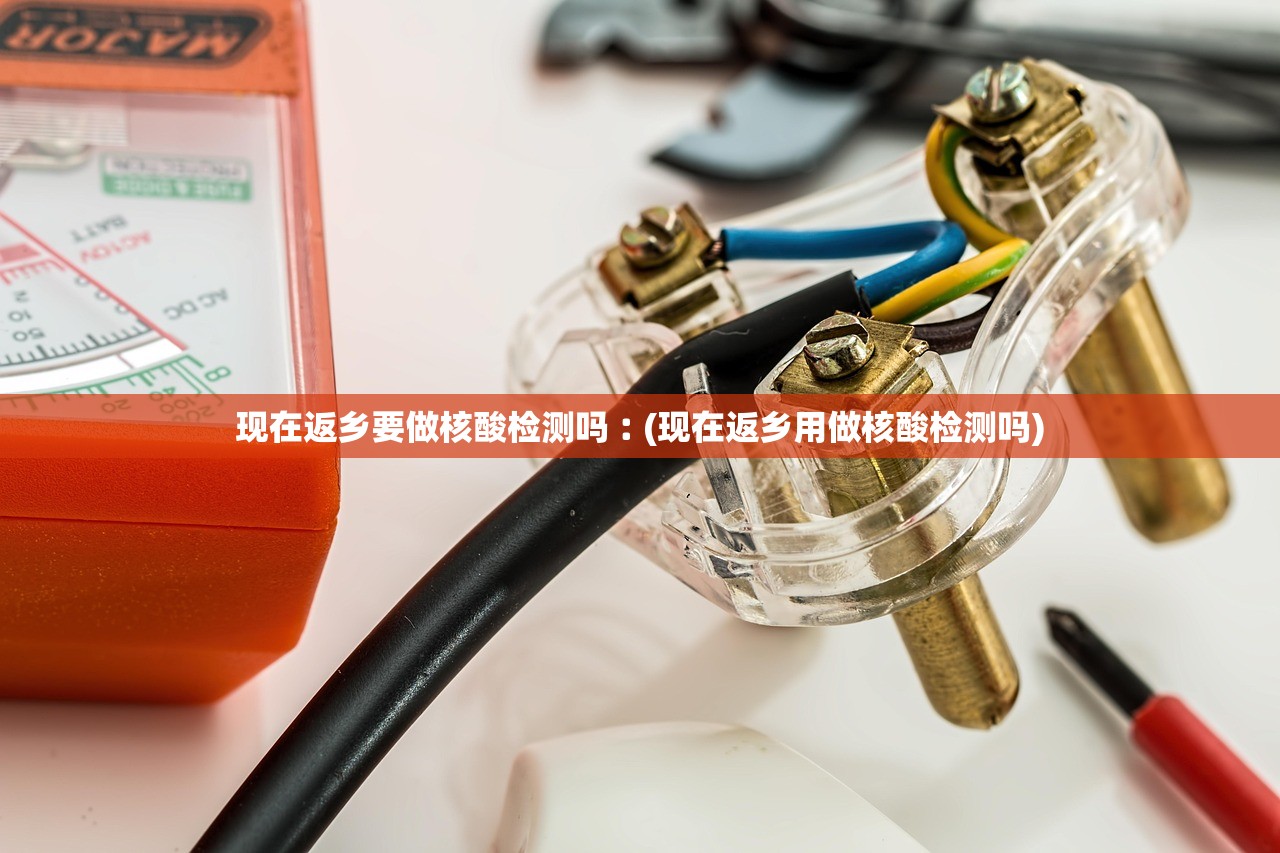 现在返乡要做核酸检测吗︰(现在返乡用做核酸检测吗)