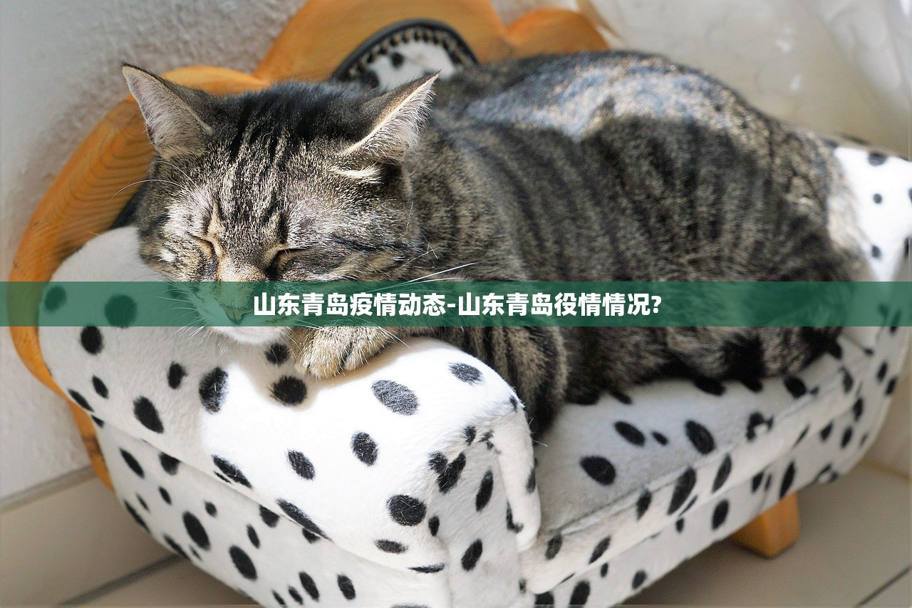 山东青岛疫情动态-山东青岛役情情况? 山东青岛疫情动态-山东青岛役情情况?