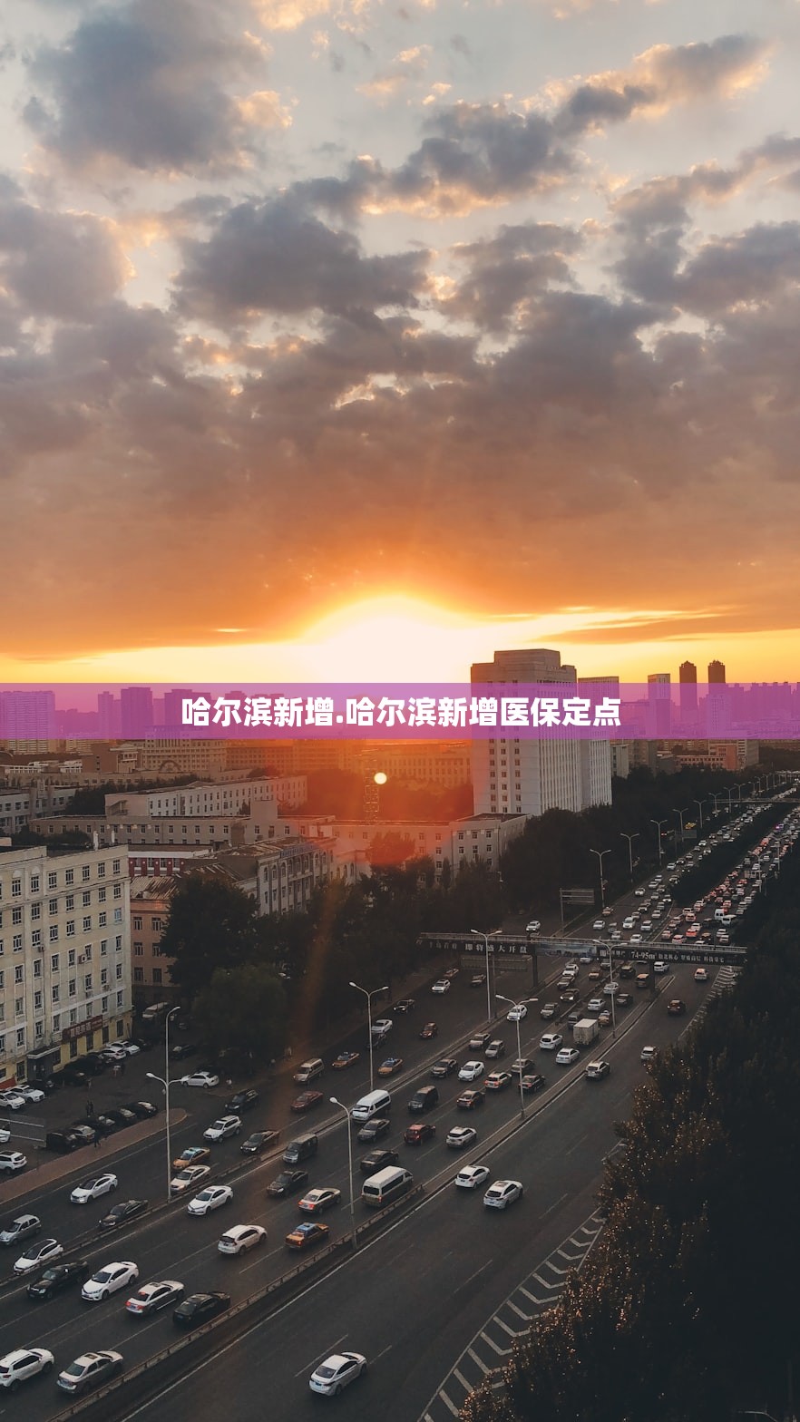 哈尔滨新增.哈尔滨新增医保定点