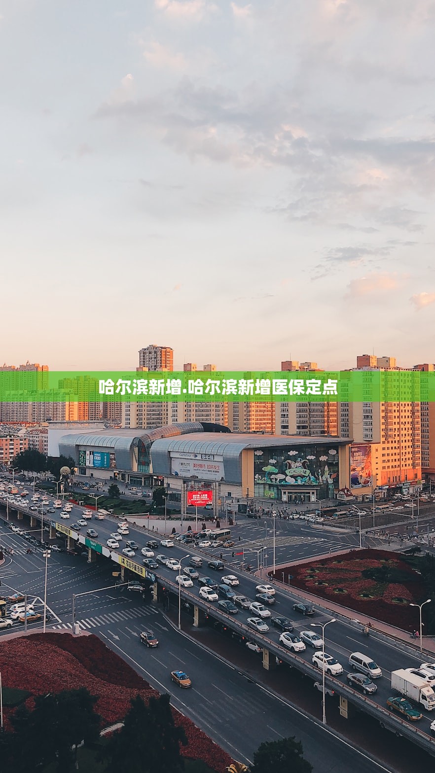 哈尔滨新增.哈尔滨新增医保定点