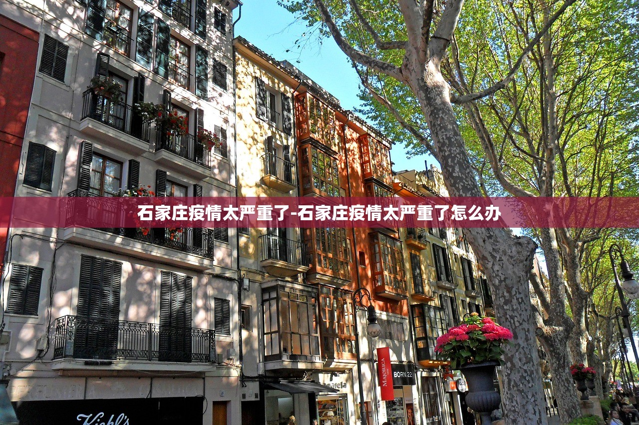 石家庄疫情太严重了-石家庄疫情太严重了怎么办