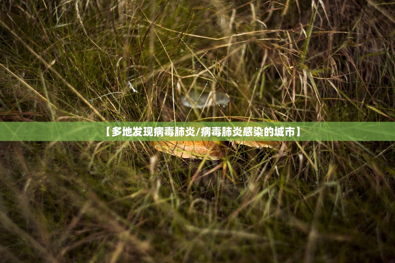【多地发现病毒肺炎/病毒肺炎感染的城市】