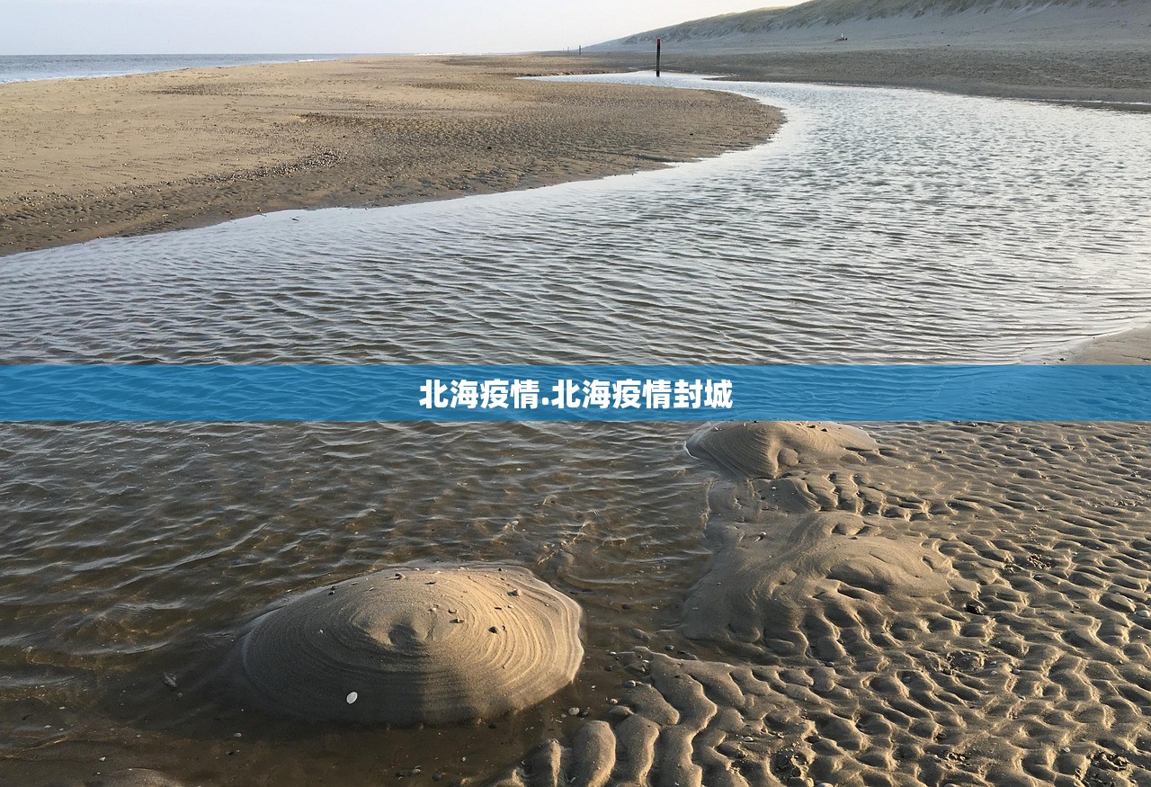 北海疫情.北海疫情封城