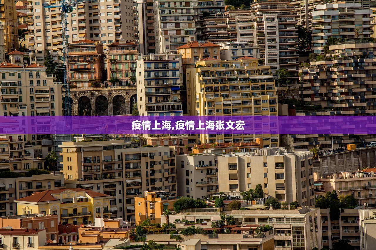 疫情上海,疫情上海张文宏