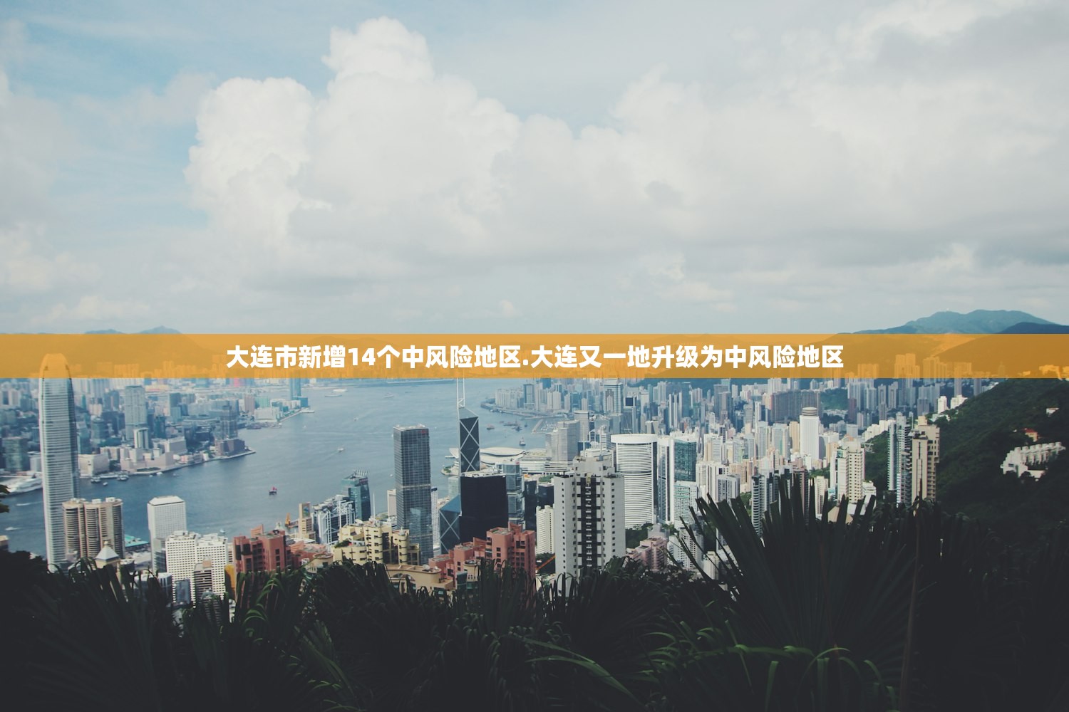大连市新增14个中风险地区.大连又一地升级为中风险地区