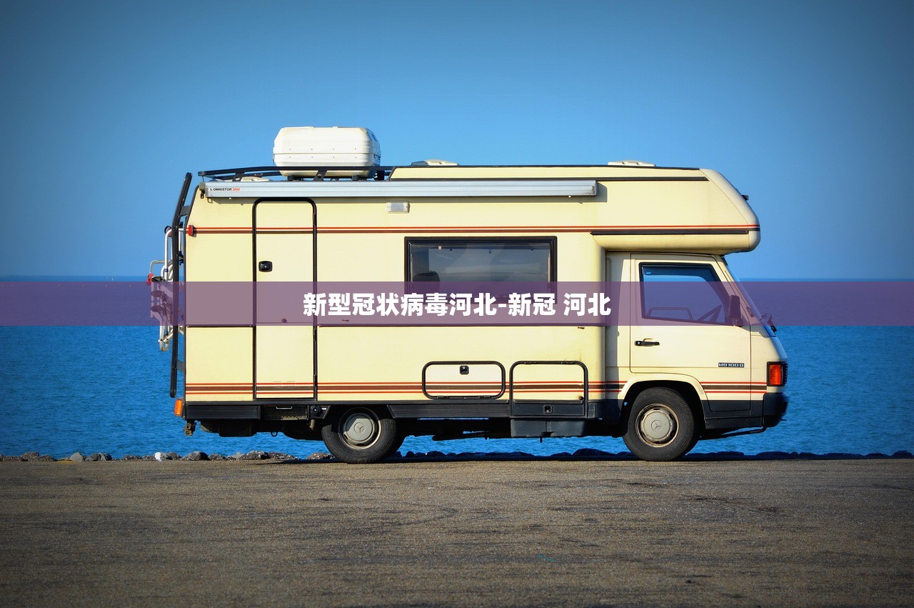 新型冠状病毒河北-新冠 河北
